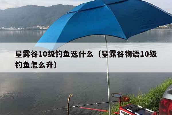 星露谷10级钓鱼选什么（星露谷物语10级钓鱼怎么升）