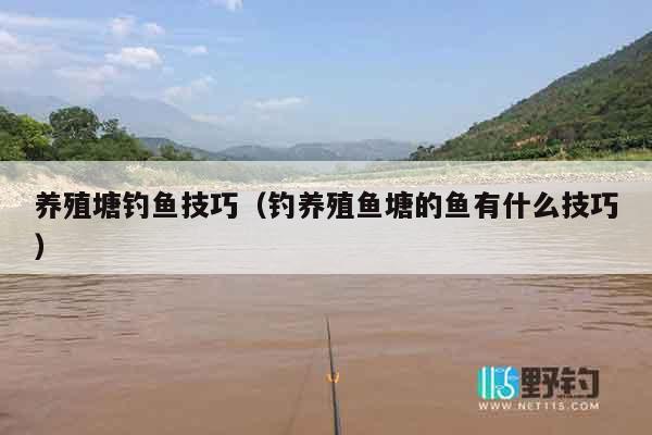 养殖塘钓鱼技巧（钓养殖鱼塘的鱼有什么技巧）