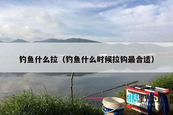 钓鱼什么拉（钓鱼什么时候拉钩最合适）