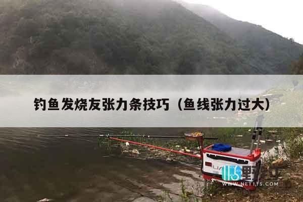 钓鱼发烧友张力条技巧（鱼线张力过大）