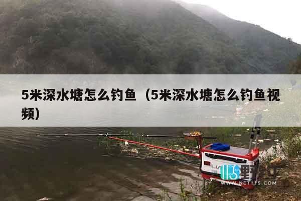 5米深水塘怎么钓鱼（5米深水塘怎么钓鱼视频）