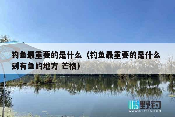 钓鱼最重要的是什么（钓鱼最重要的是什么 到有鱼的地方 芒格）