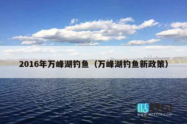 2016年万峰湖钓鱼（万峰湖钓鱼新政策）