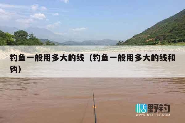 钓鱼一般用多大的线（钓鱼一般用多大的线和钩）