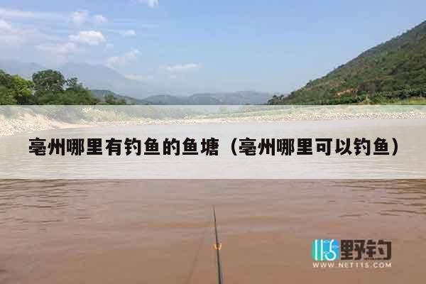 亳州哪里有钓鱼的鱼塘（亳州哪里可以钓鱼）