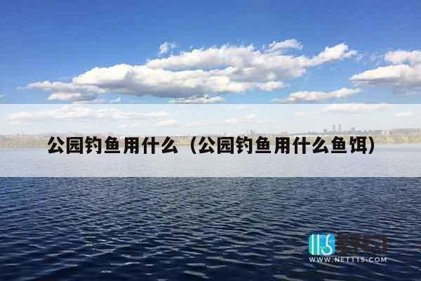 公园钓鱼用什么（公园钓鱼用什么鱼饵）