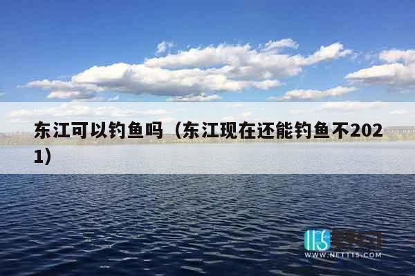 东江可以钓鱼吗（东江现在还能钓鱼不2021）