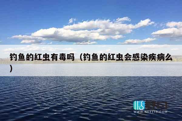 钓鱼的红虫有毒吗（钓鱼的红虫会感染疾病么）