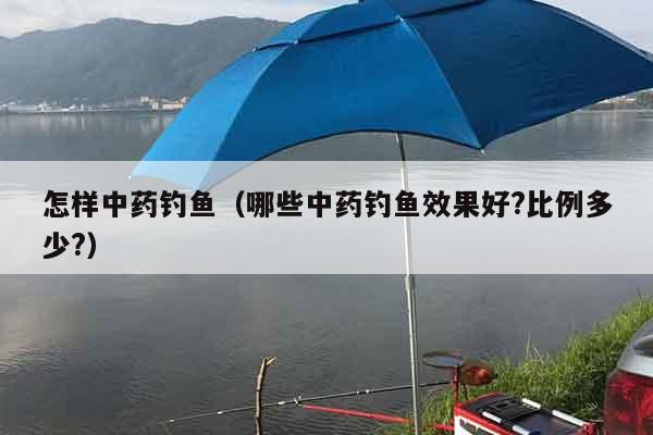 怎样中药钓鱼（哪些中药钓鱼效果好?比例多少?）