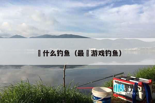 囧什么钓鱼（最囧游戏钓鱼）