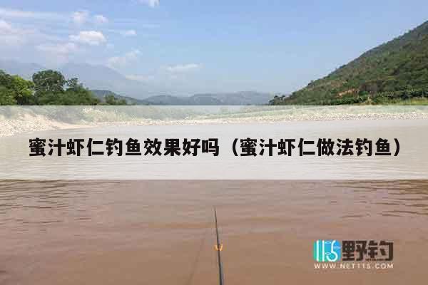 蜜汁虾仁钓鱼效果好吗（蜜汁虾仁做法钓鱼）