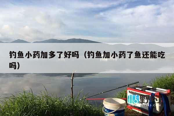 钓鱼小药加多了好吗（钓鱼加小药了鱼还能吃吗）