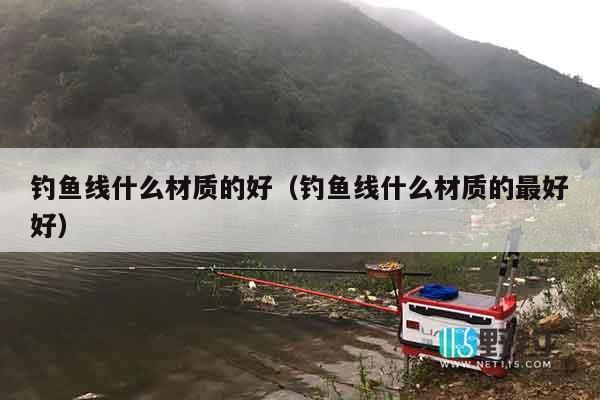 钓鱼线什么材质的好（钓鱼线什么材质的最好好）