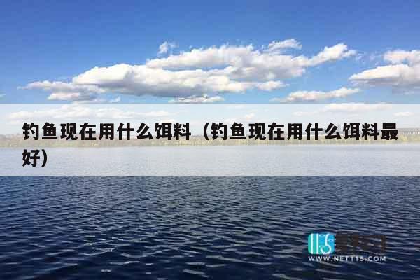 钓鱼现在用什么饵料（钓鱼现在用什么饵料最好）