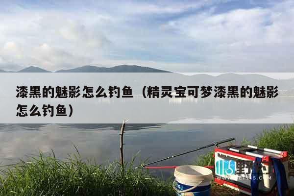 漆黑的魅影怎么钓鱼（精灵宝可梦漆黑的魅影怎么钓鱼）