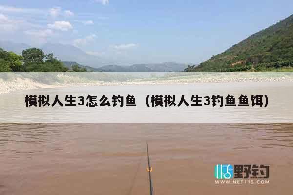 模拟人生3怎么钓鱼（模拟人生3钓鱼鱼饵）