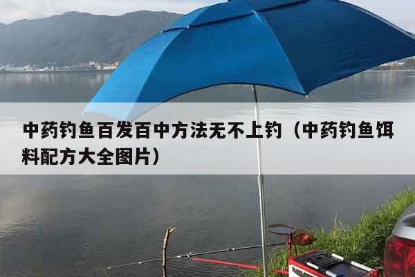 中药钓鱼百发百中方法无不上钓（中药钓鱼饵料配方大全图片）