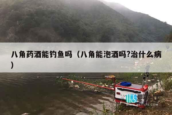 八角药酒能钓鱼吗（八角能泡酒吗?治什么病）