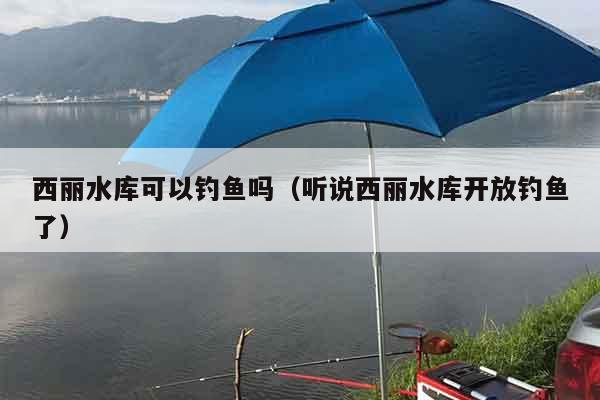 西丽水库可以钓鱼吗（听说西丽水库开放钓鱼了）