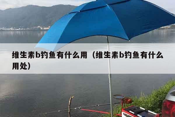 维生素b钓鱼有什么用（维生素b钓鱼有什么用处）