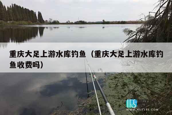 重庆大足上游水库钓鱼（重庆大足上游水库钓鱼收费吗）