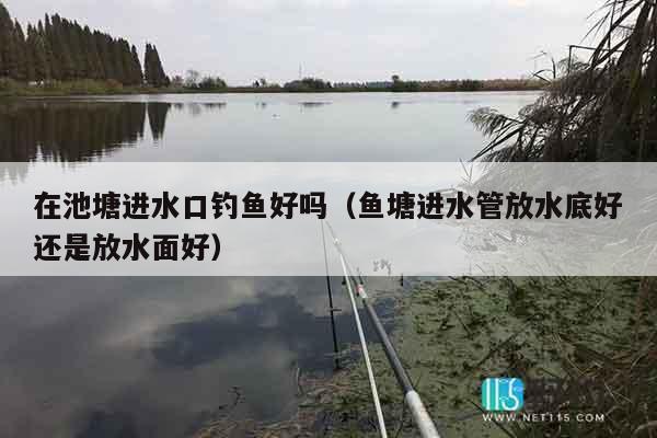 在池塘进水口钓鱼好吗（鱼塘进水管放水底好还是放水面好）