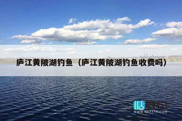 庐江黄陂湖钓鱼（庐江黄陂湖钓鱼收费吗）