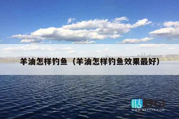 羊油怎样钓鱼（羊油怎样钓鱼效果最好）