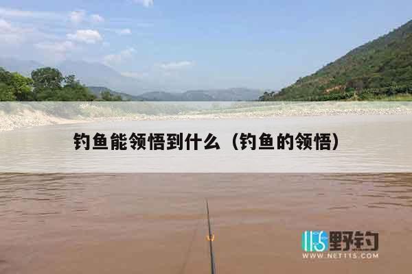 钓鱼能领悟到什么（钓鱼的领悟）