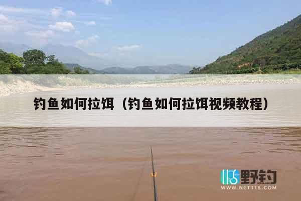 钓鱼如何拉饵（钓鱼如何拉饵视频教程）