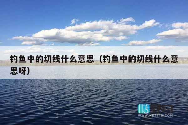 钓鱼中的切线什么意思（钓鱼中的切线什么意思呀）