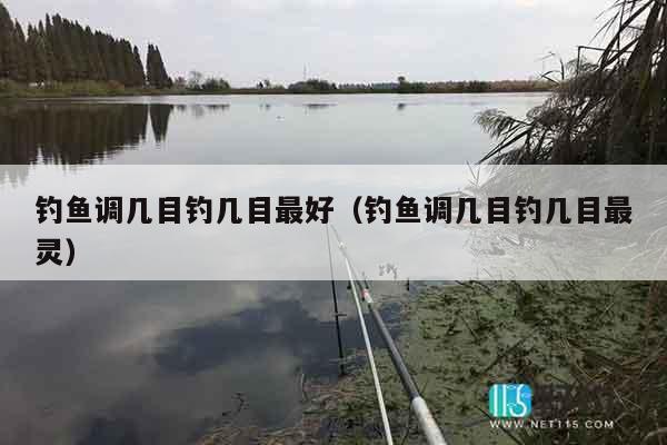 钓鱼调几目钓几目最好（钓鱼调几目钓几目最灵）