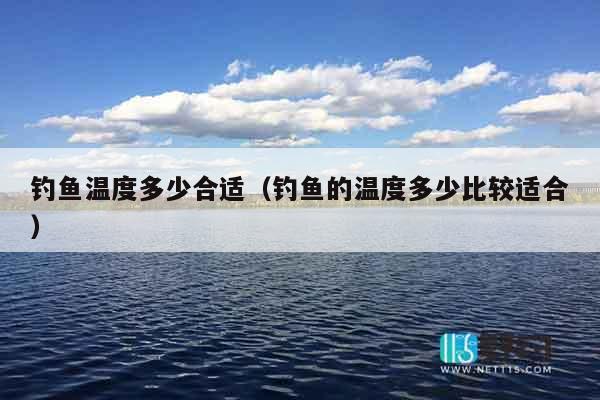 钓鱼温度多少合适（钓鱼的温度多少比较适合）