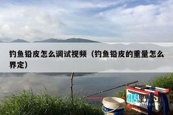 钓鱼铅皮怎么调试视频（钓鱼铅皮的重量怎么界定）