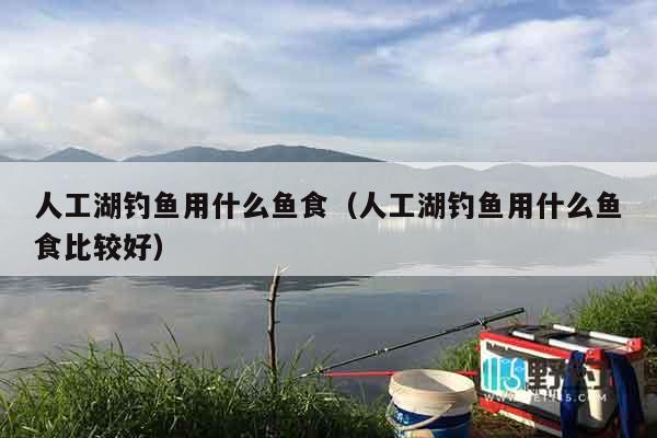 人工湖钓鱼用什么鱼食（人工湖钓鱼用什么鱼食比较好）