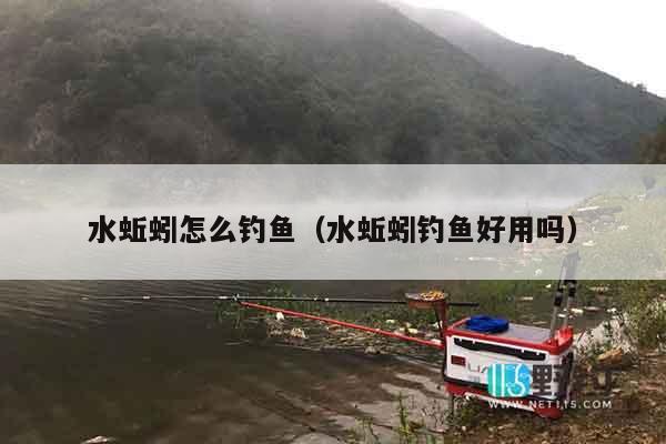 水蚯蚓怎么钓鱼（水蚯蚓钓鱼好用吗）