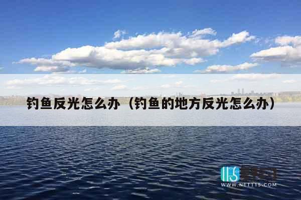 钓鱼反光怎么办（钓鱼的地方反光怎么办）