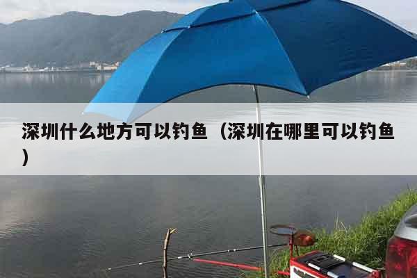 深圳什么地方可以钓鱼（深圳在哪里可以钓鱼）