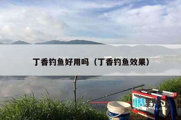 丁香钓鱼好用吗（丁香钓鱼效果）
