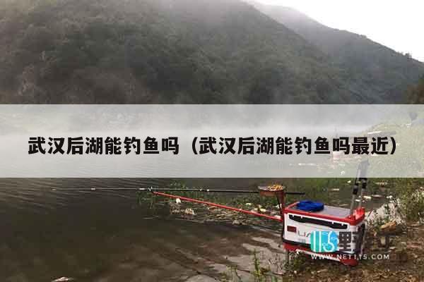 武汉后湖能钓鱼吗（武汉后湖能钓鱼吗最近）
