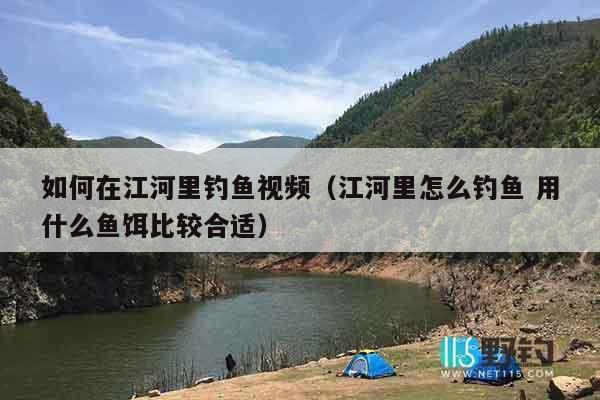 如何在江河里钓鱼视频（江河里怎么钓鱼 用什么鱼饵比较合适）