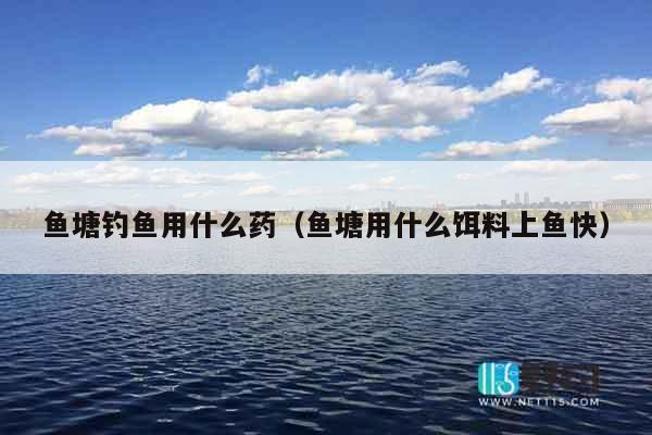 鱼塘钓鱼用什么药（鱼塘用什么饵料上鱼快）