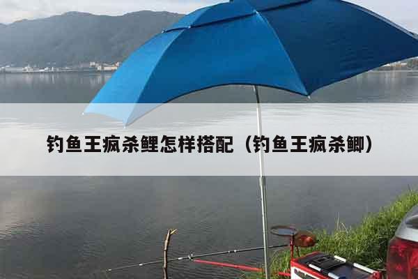 钓鱼王疯杀鲤怎样搭配（钓鱼王疯杀鲫）