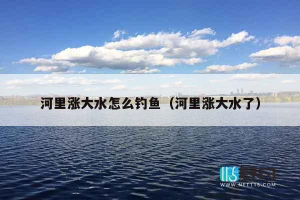 河里涨大水怎么钓鱼（河里涨大水了）
