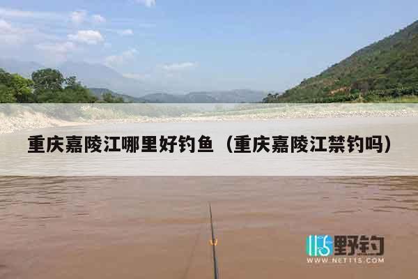重庆嘉陵江哪里好钓鱼（重庆嘉陵江禁钓吗）