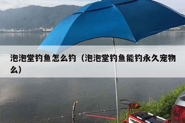 泡泡堂钓鱼怎么钓（泡泡堂钓鱼能钓永久宠物么）