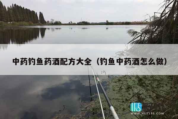 中药钓鱼药酒配方大全（钓鱼中药酒怎么做）