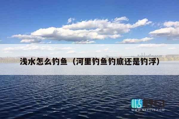浅水怎么钓鱼（河里钓鱼钓底还是钓浮）