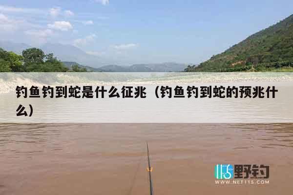 钓鱼钓到蛇是什么征兆（钓鱼钓到蛇的预兆什么）