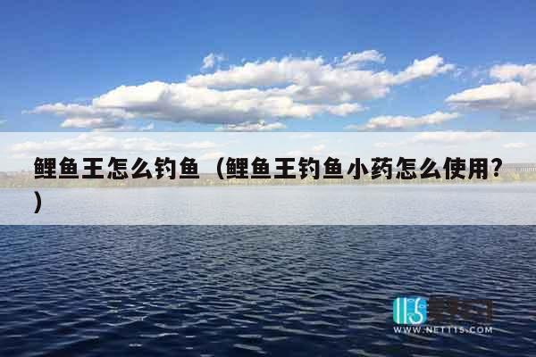 鲤鱼王怎么钓鱼（鲤鱼王钓鱼小药怎么使用?）